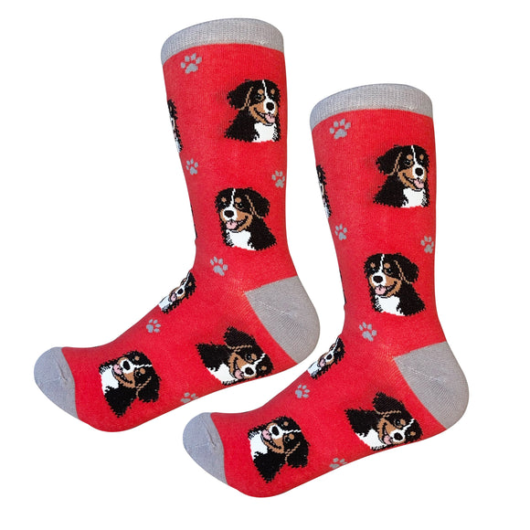 Sock Daddy Bernese Mountain Dog - Faces (Unisex Socks)