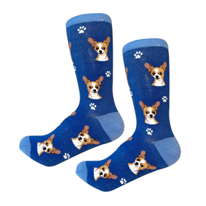 Sock Daddy Chihuahua - White & Tan - Faces (Unisex Socks)