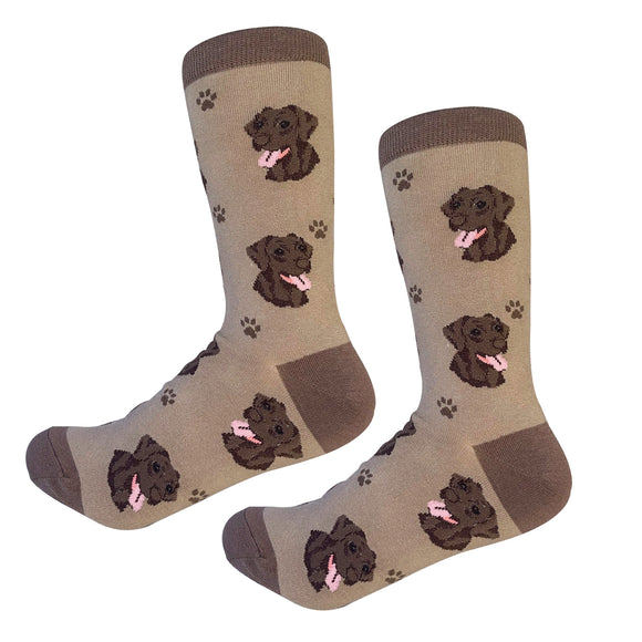 Sock Daddy Chocolate Labrador - Faces (Unisex Socks)