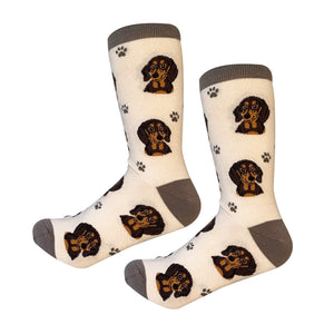 Sock Daddy Black & Tan Dachshund - Faces (Unisex Socks)