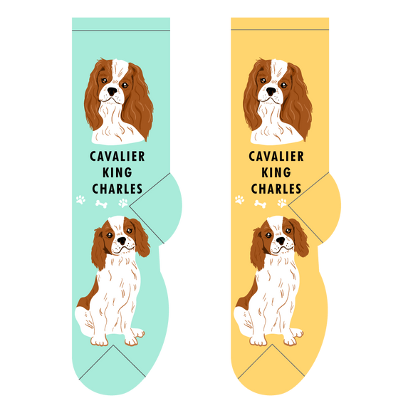 Foozys Canine Collection: Cavalier King Charles Spaniel (Unisex Socks)