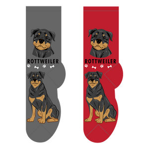 Foozys Canine Collection: Rottweiler (Unisex Socks)