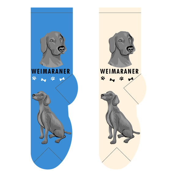 Foozys Canine Collection: Weimaraner (Unisex Socks)