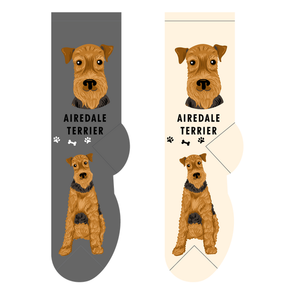 Foozys Canine Collection: Airedale Terrier (Unisex Socks)