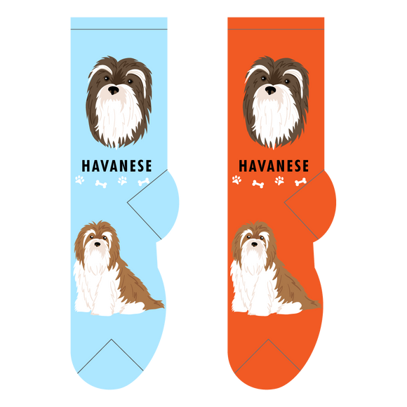 Foozys Canine Collection: Havanese (Unisex Socks)