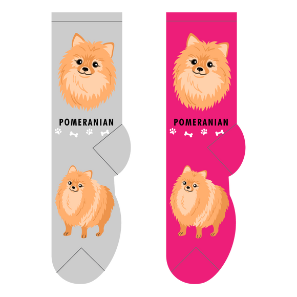 Canine socks best sale