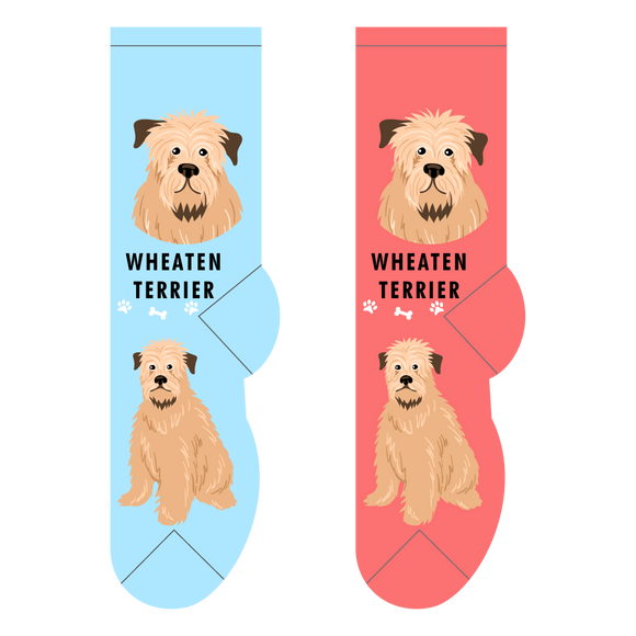 Foozys Canine Collection: Wheaten Terrier (Unisex Socks)