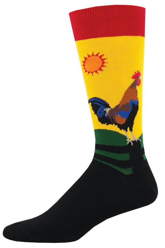 Early Riser - Morning Gold (Men's Socks)