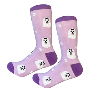 Sock Daddy Maltese - Faces (Unisex Socks)