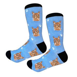 Sock Daddy Orange Tabby Cat - Faces (Unisex Socks)