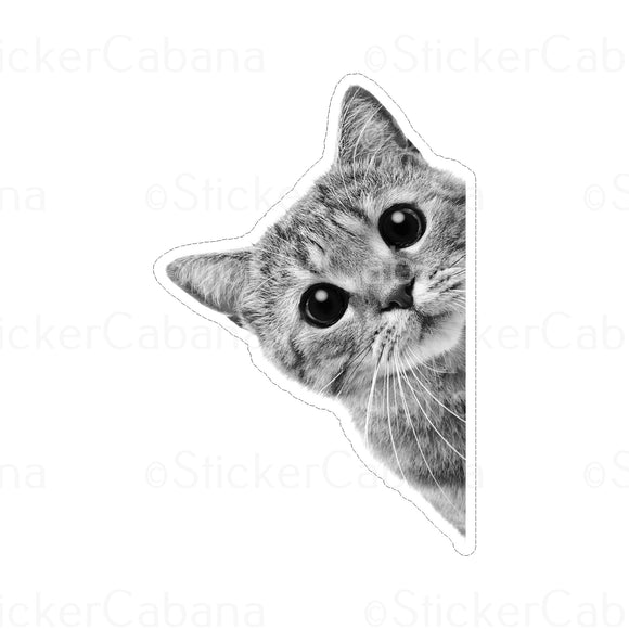 Sticker (Small): Cute Peeking Kitten