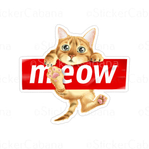 Sticker (Small): "Meow" Cute Kitten